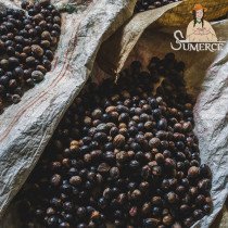 Café - Somos Sumerce