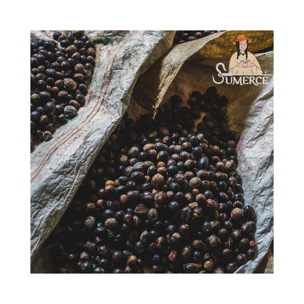 Café - Somos Sumerce